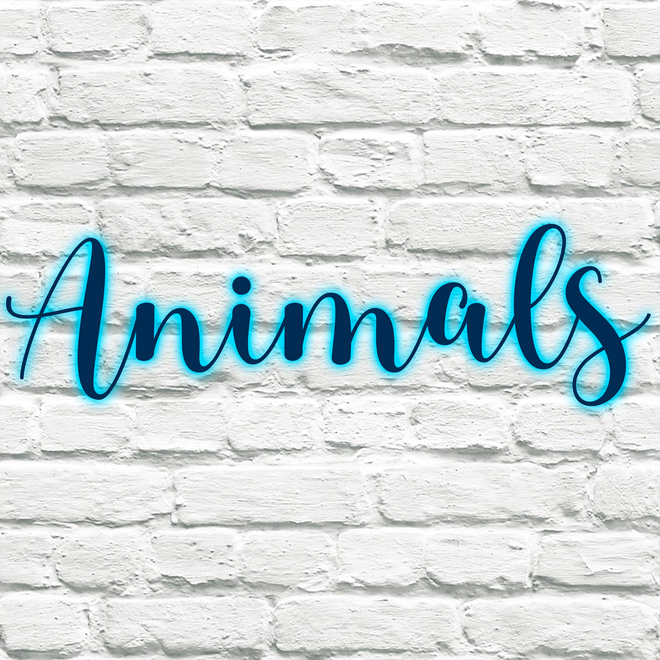 Animals