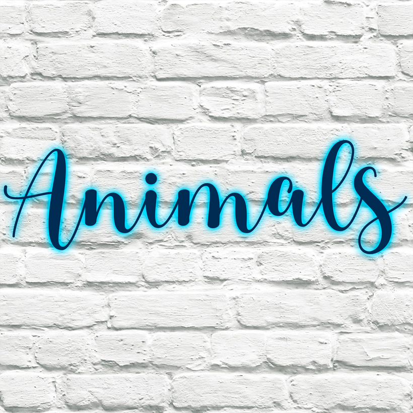 Animals